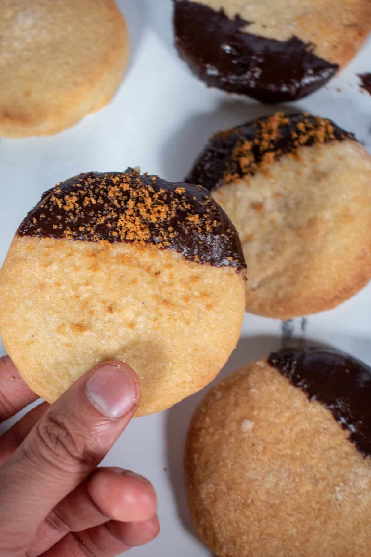 A close up image of a vegan chocolate shortbread biscuit.