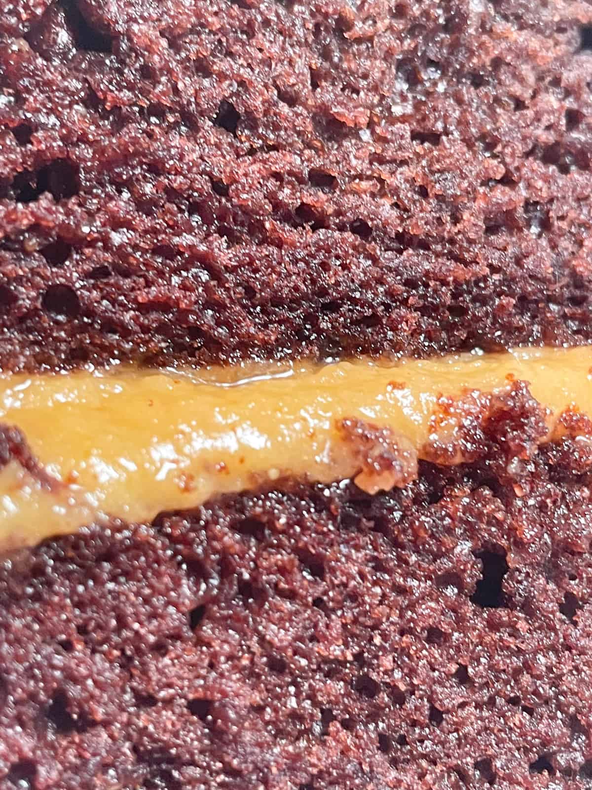 A zoomed in shot of the texture of the cake and filling.