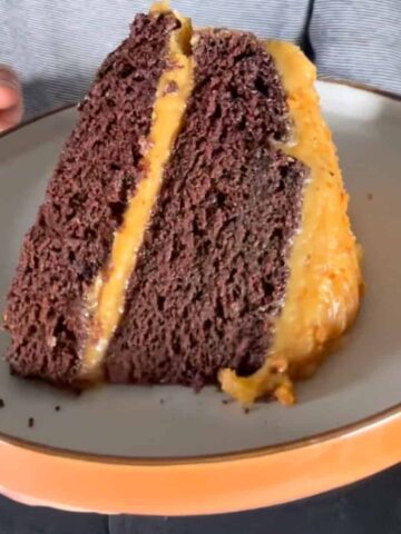 A chunky slice of vegan peanut butter chocolate cake being held up to the camera.