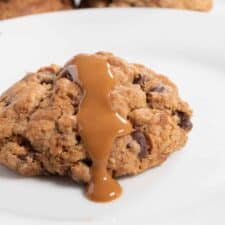 A shot of a golden brown vegan biscoff cookie. Melted biscoff spread is dripping down the front side.