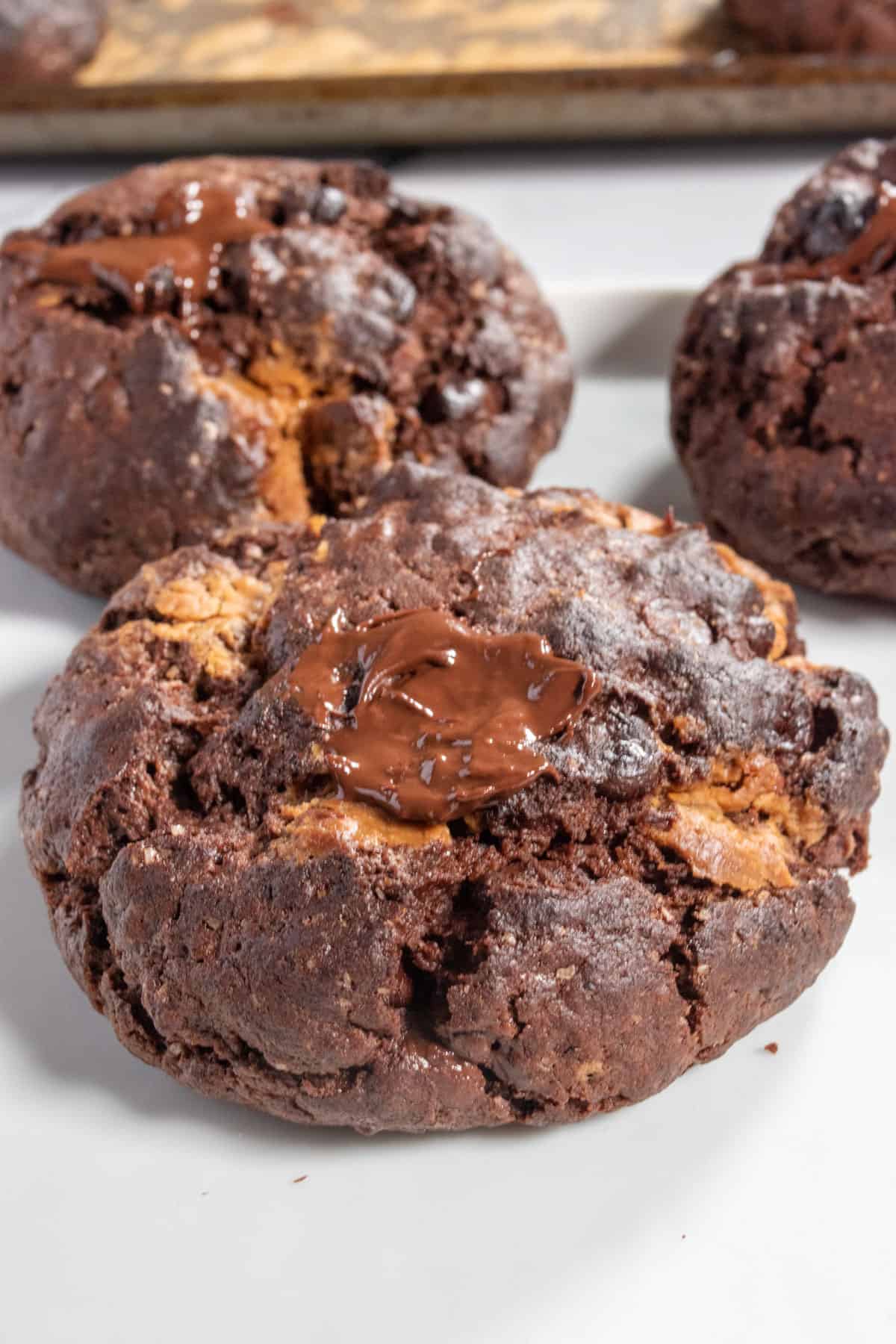 Three large chocolate brownie cookies. Biscoff melted on top.