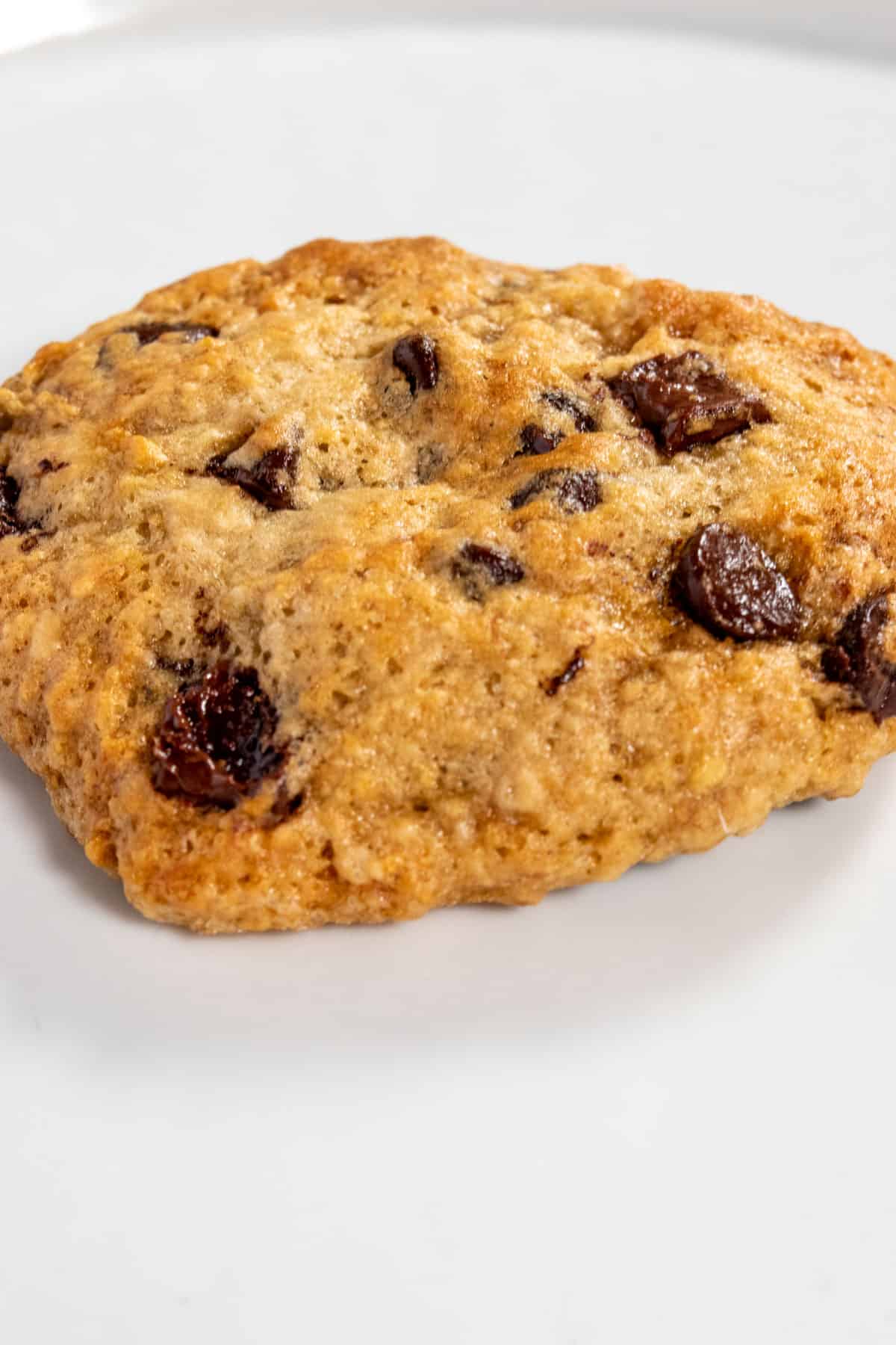 A very golden cookie on its own. It has lots of chocolate chips on top and looks very appetising. 