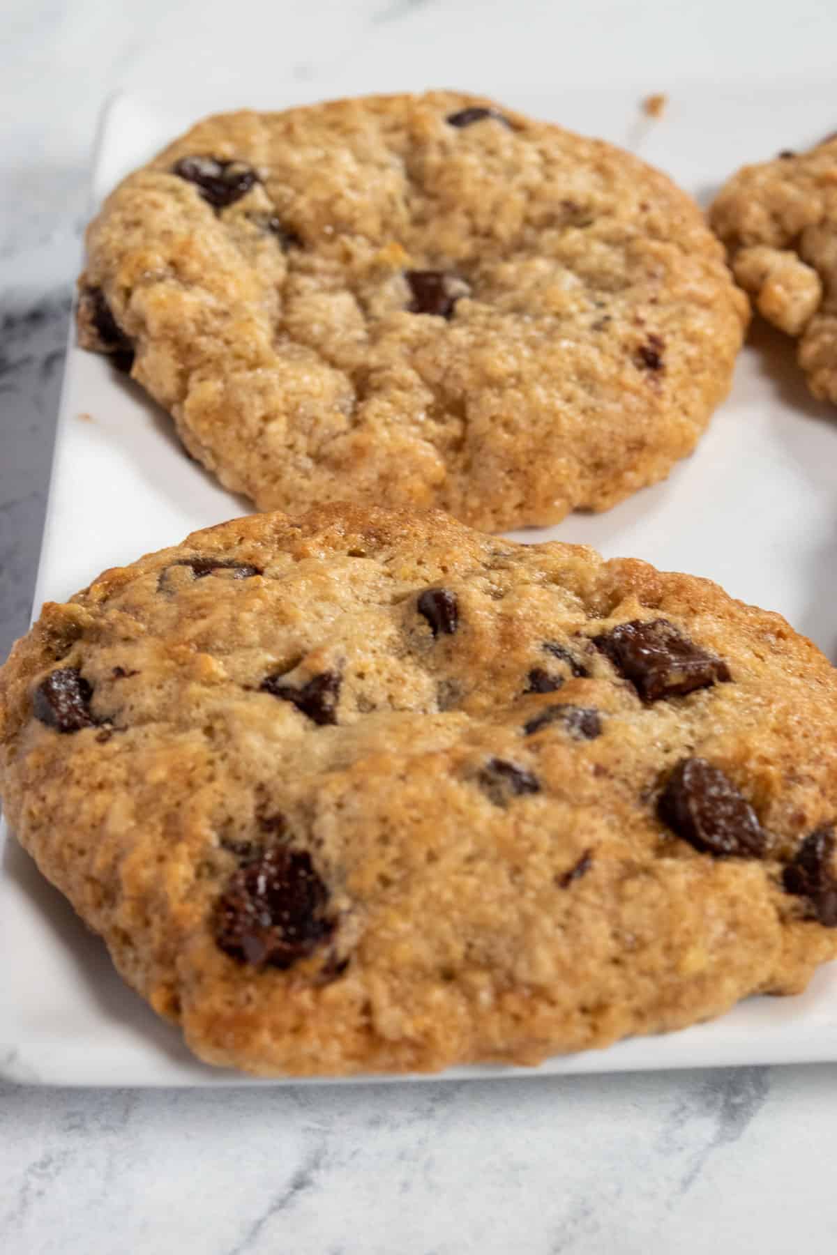 Two larger cookies lined on a small plate. They are both very round. 
