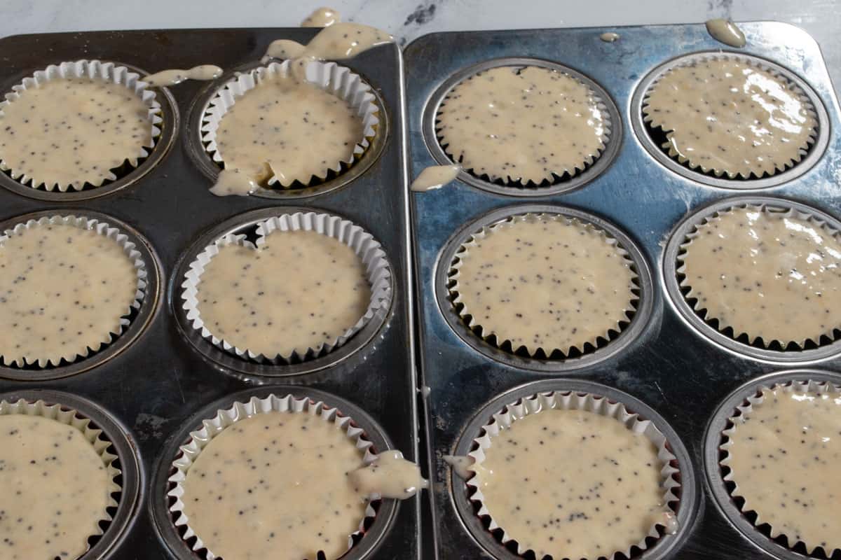 The batter has been poured into the cake liners. They are ready to go in the oven. 