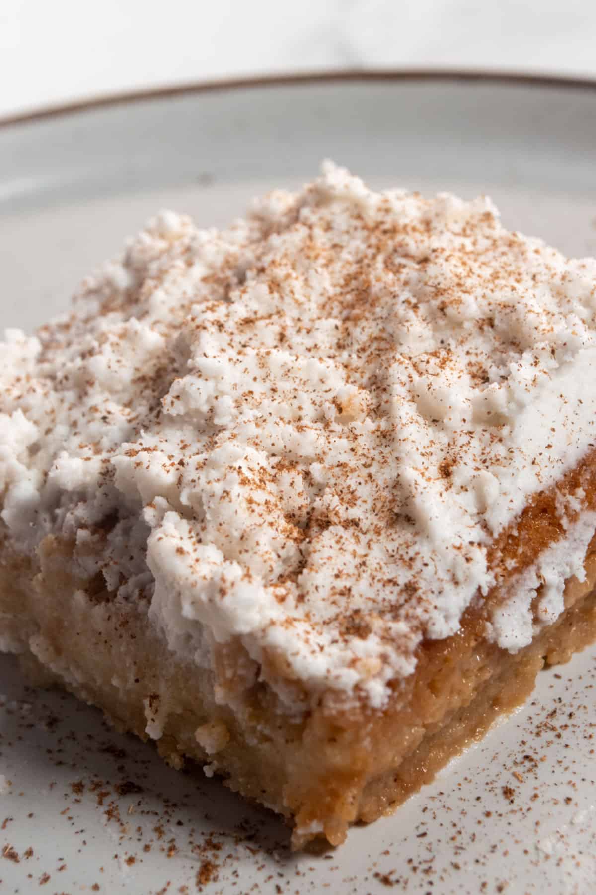 A large slice of tres leches cake on a serving saucer. Its is topped with vegan whipped cream and dusted with cinnamon.  