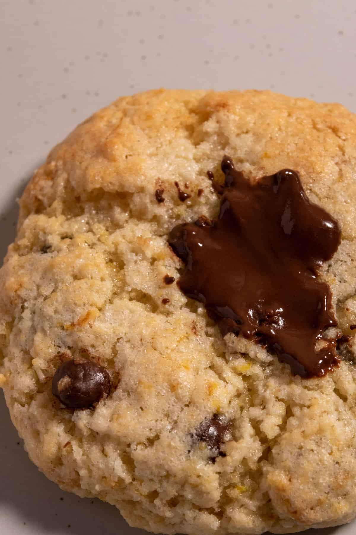 A lemon cookie on a white plate. You can see zest inside. Melty chocolate sits on top.