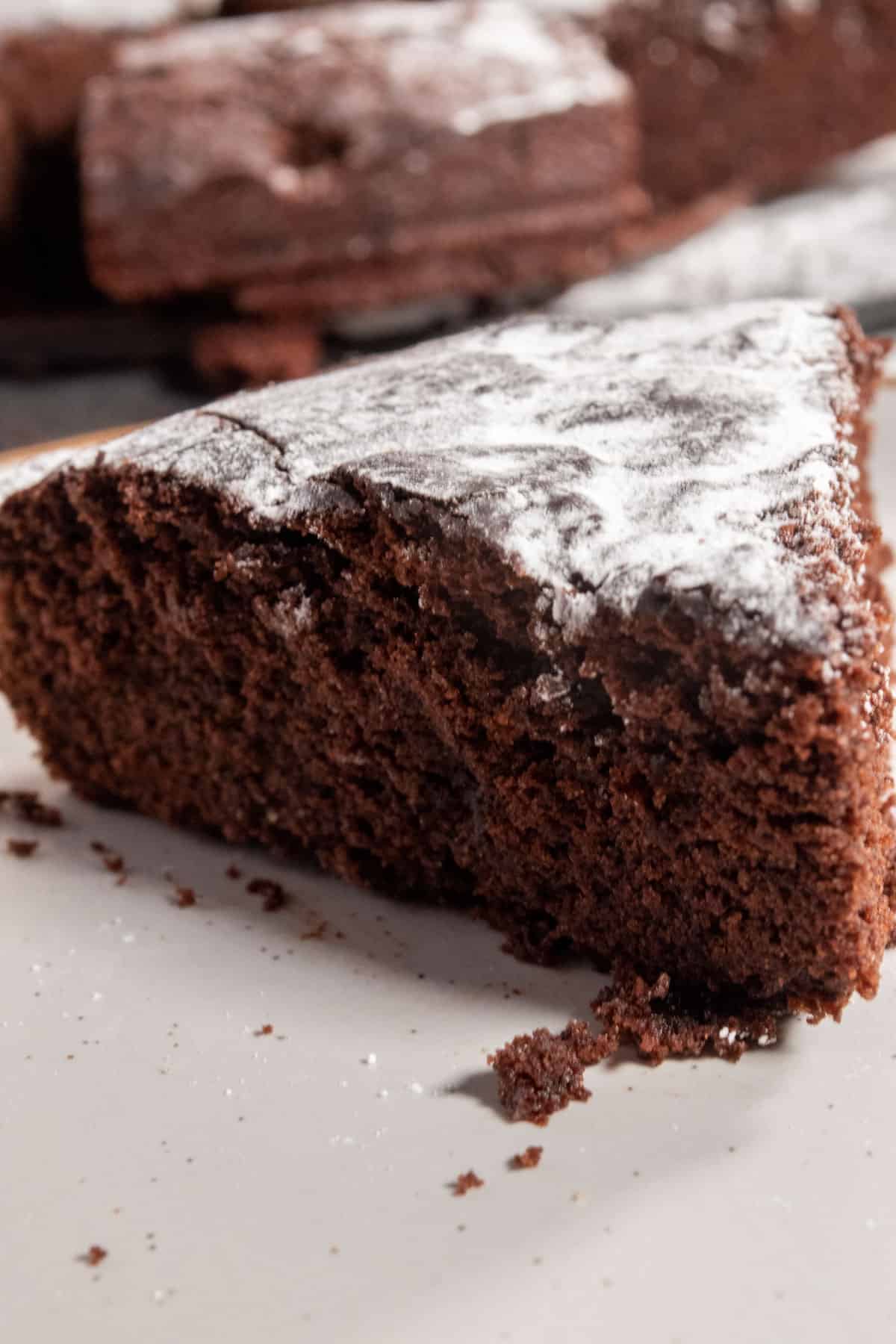 A chunky slice of chocolate cake with lots of powdered sugar on top. The texture of the cake is so soft.