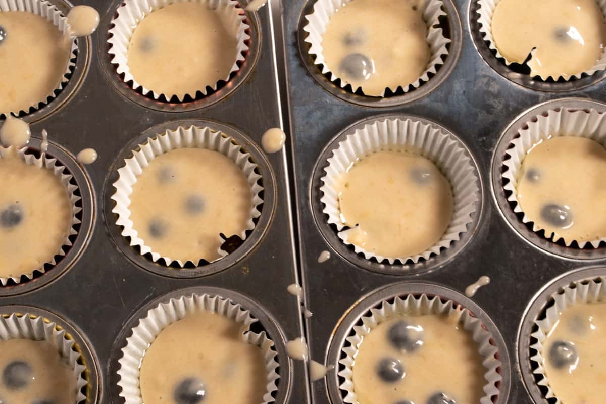 The muffin batter has been poured into the cupcake liners. 
