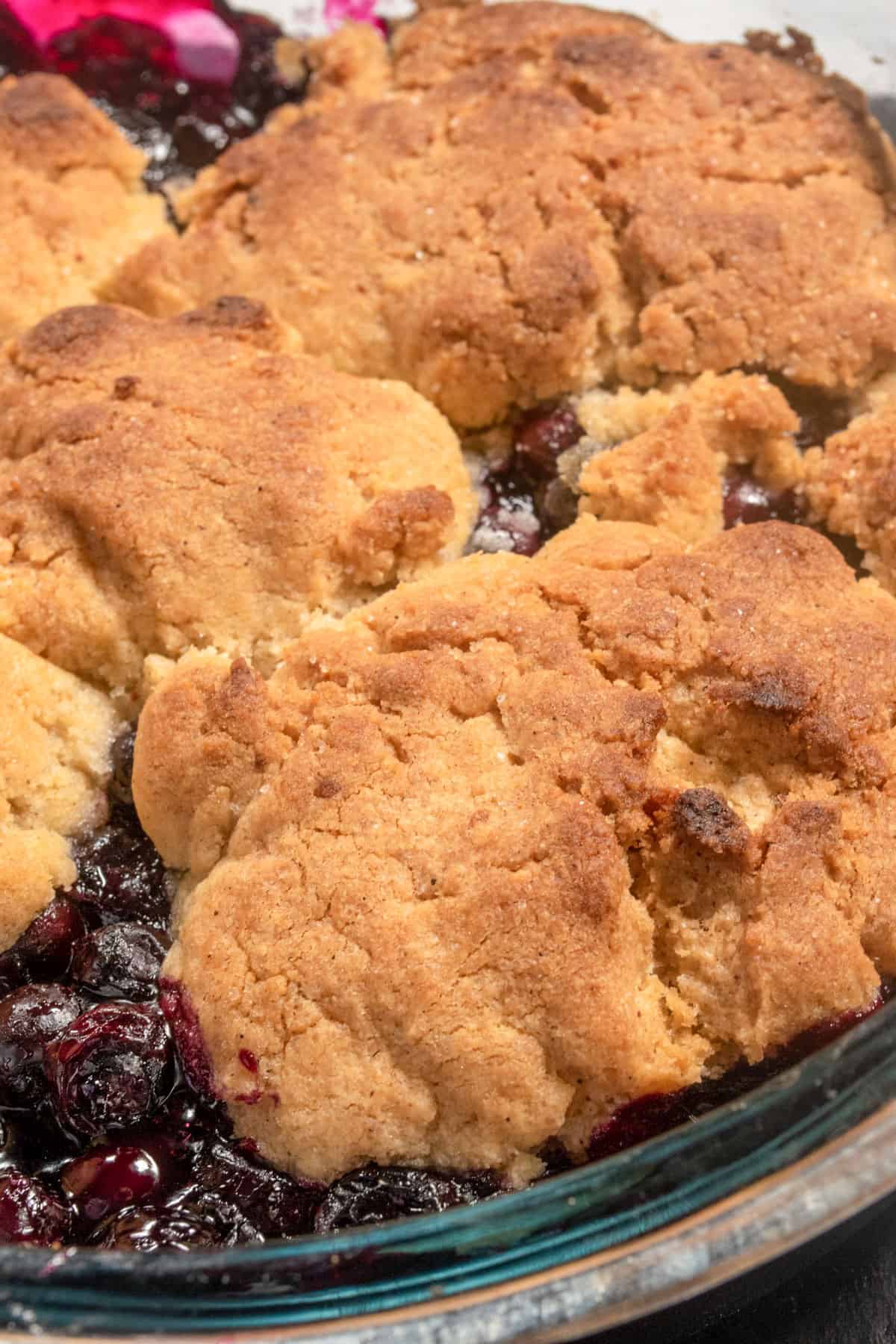 Golden brown vegan blueberry cobbler cooling down inside a large pyrex baking tray. The blueberries are bubbling. 