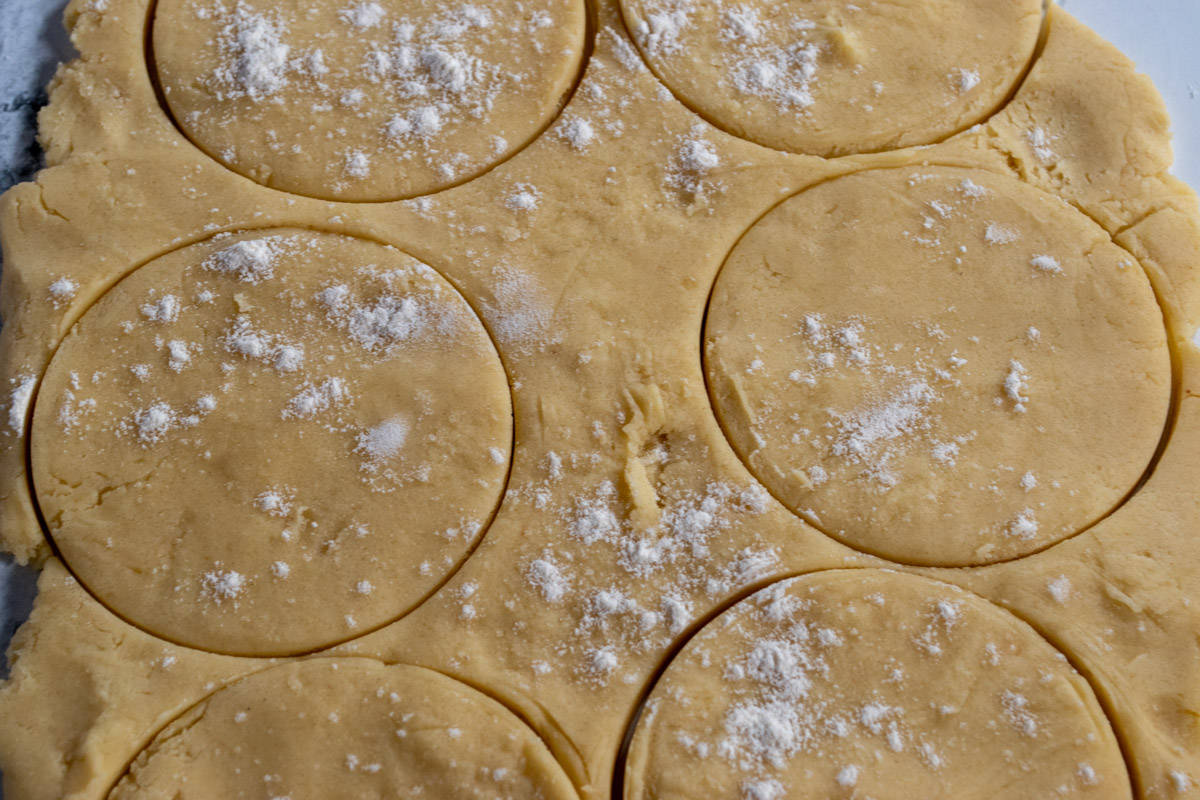 The fudge stripe cookies dough has been rolled and cookie shapes have been cut out.  